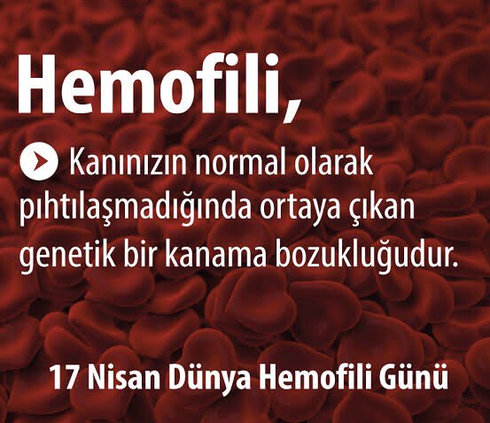17 Nisan Dünya Hemofili Günü