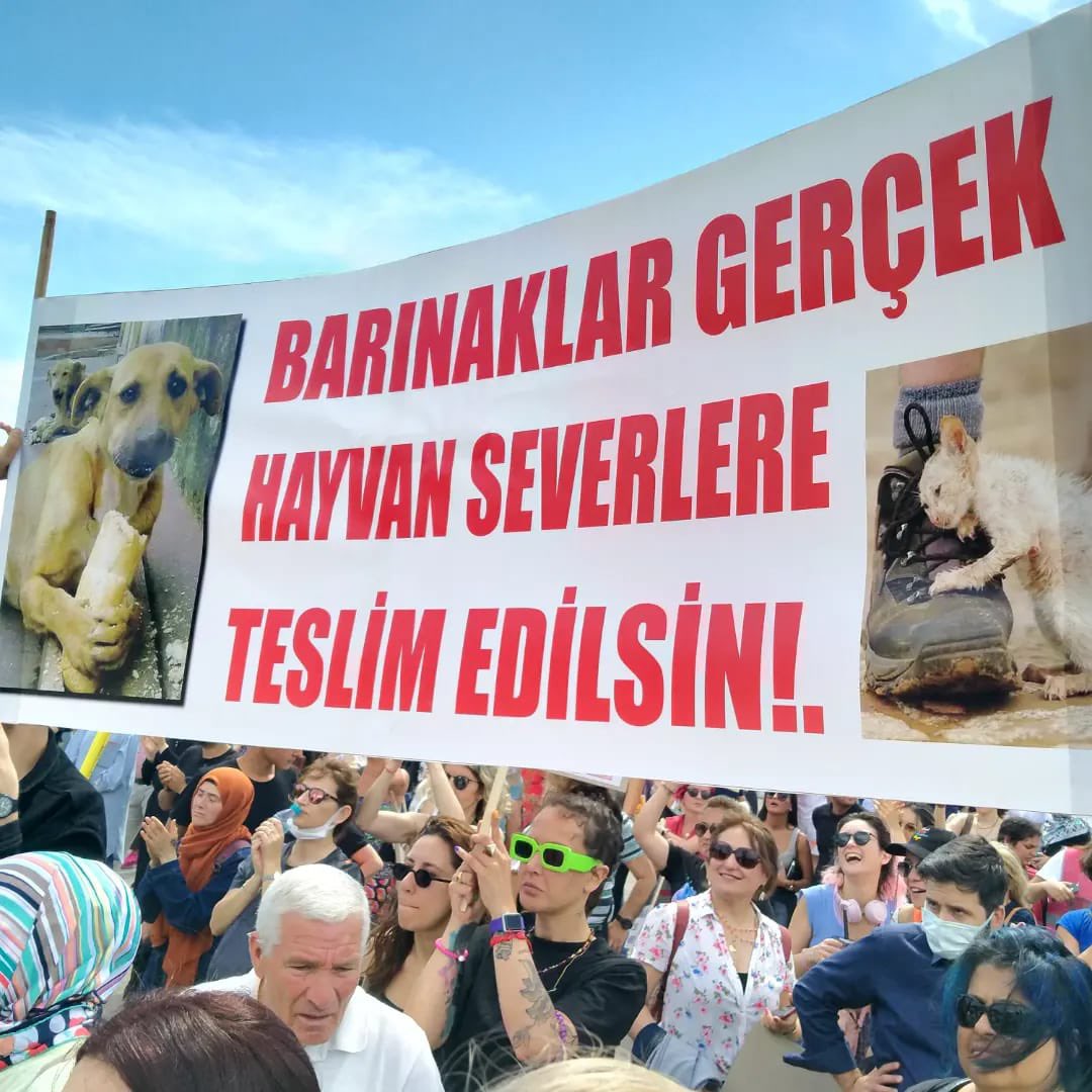 Kadıköy’de sokak hayvanları için düzenlenen gösteriye İl Yönetim Kurulu Üyemiz Cüneyt Çeliksoy da katıldı.